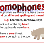 What are Animal Homophones?