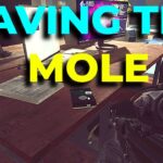 The Threats Facing the Mole Tarkov