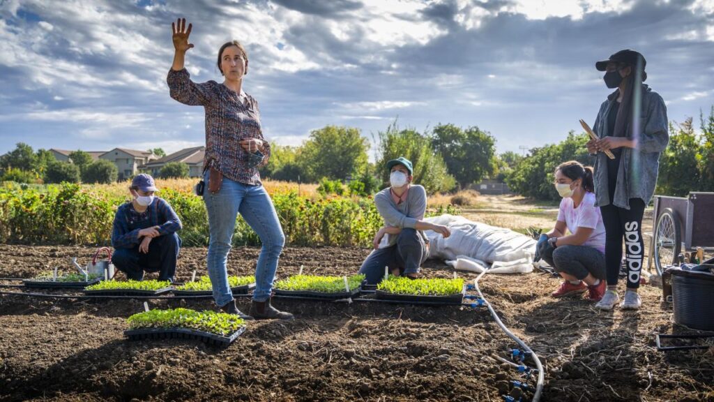 Survey: People Turned to Gardening for Stress Relief, Food Access During Pandemic | UC Davis