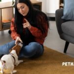 Discover the Unique Pet Care Experience at Pethardas Com